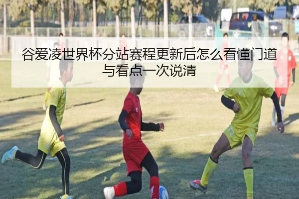 谷爱凌世界杯分站赛程更新后怎么看懂门道与看点一次说清
